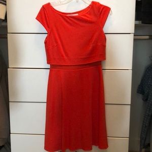 Bailey 44 mesh cut out Aline dress